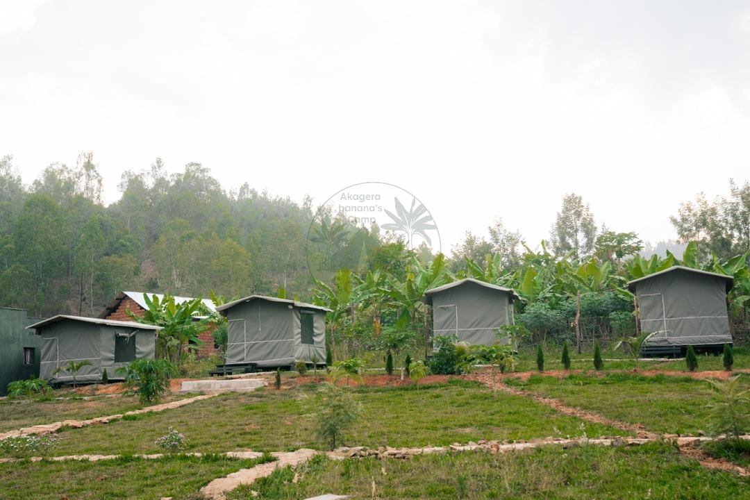 2-Night Safari Camp