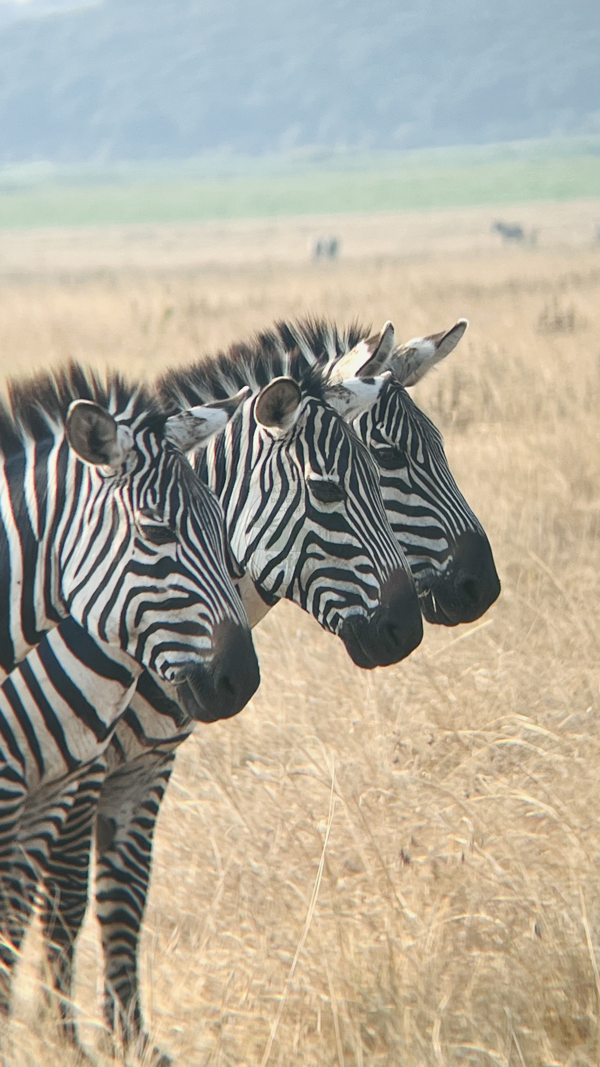 Akagera National Park